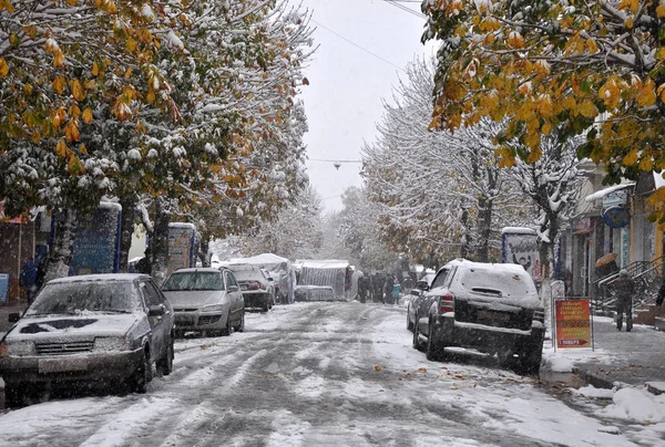 Yeşil leaves_5 beyaz kar — Stok fotoğraf