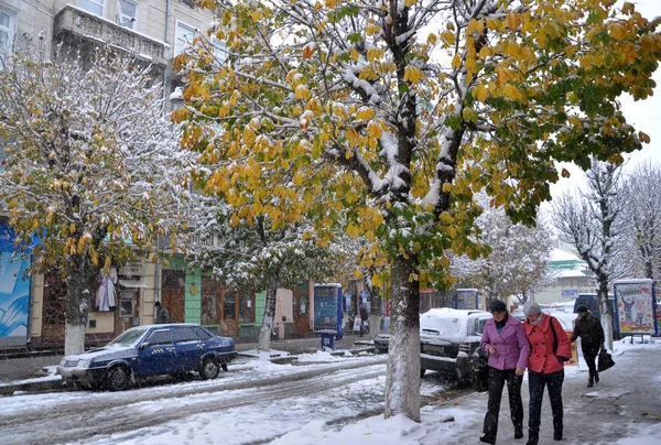 Yeşil leaves_14 beyaz kar — Stok fotoğraf