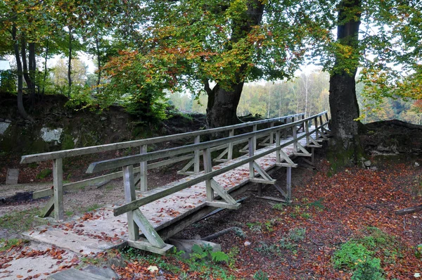 Hösten landskap med Bridge_2 — Stockfoto