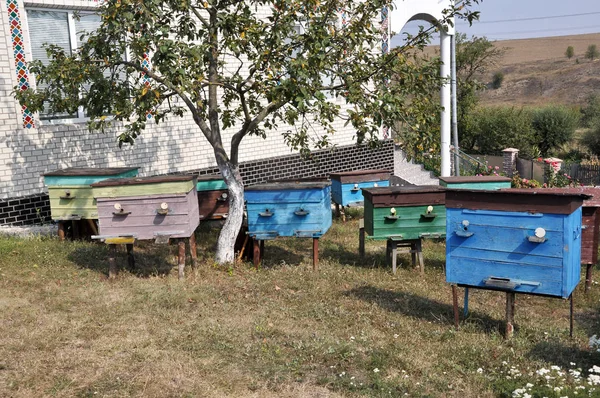 Ερασιτεχνικό μελισσοκομείο κοντά το house_2 — Φωτογραφία Αρχείου