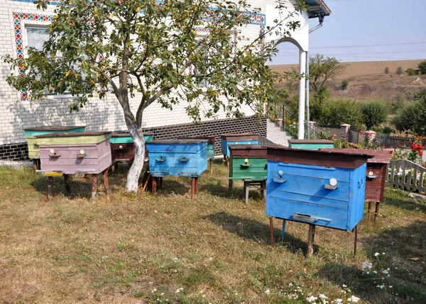 Amateur apiary near the house _ 4 — стоковое фото