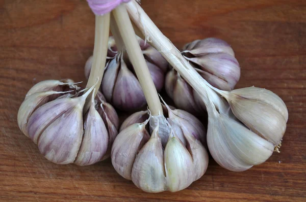 Ett gäng mogna garlic_10 — Stockfoto