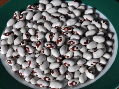 Kırmızı yamalar ile beyaz fasulye