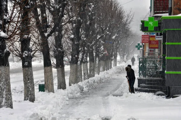 Yoğun kar yağışı ve blizzard_5 — Stok fotoğraf