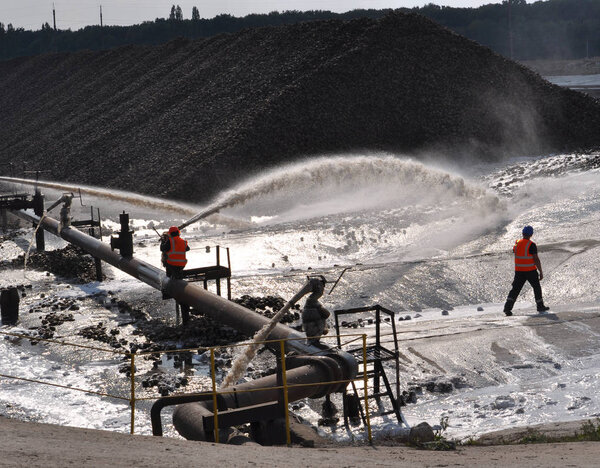 Submission of sugar beet_9