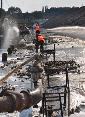 Şeker beet_11 sunulması