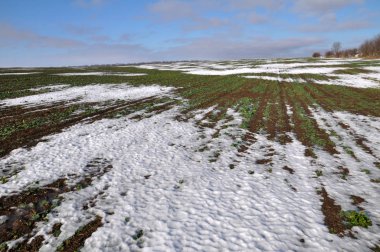 İyi olan kış tecavüz snow_7 altında kış