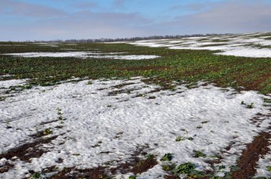 İyi olan kış tecavüz snow_8 altında kış