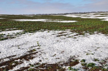 İyi olan kış tecavüz snow_9 altında kış