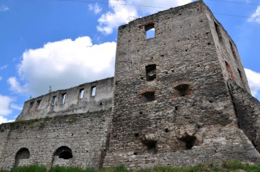 Chortkiv castle_6 göster