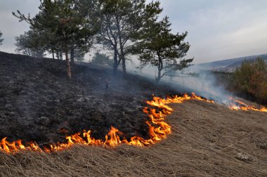 Burns kuru ot değil mown_2