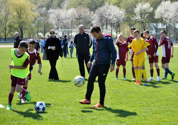 Festival de fútbol infantil _ 5 —  Fotos de Stock