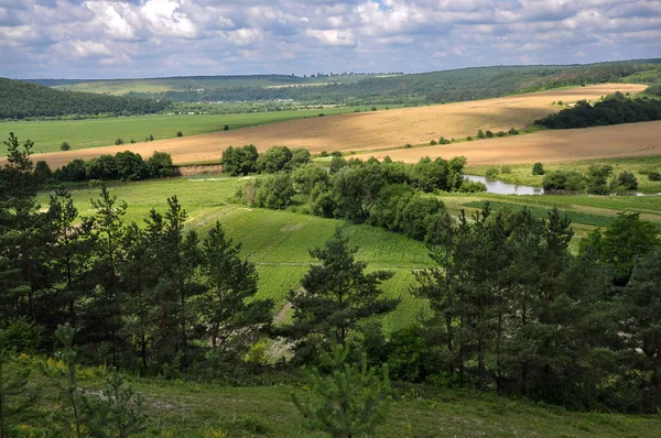 Yaz panoramik landscape_4