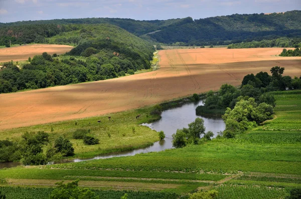 夏のパノラマ風景 — ストック写真