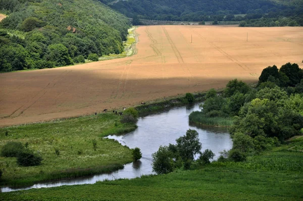 Paysage panoramique d'été _ 7 — Photo