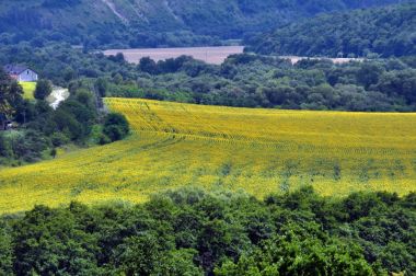 Yaz panoramik manzara üst noktasından
