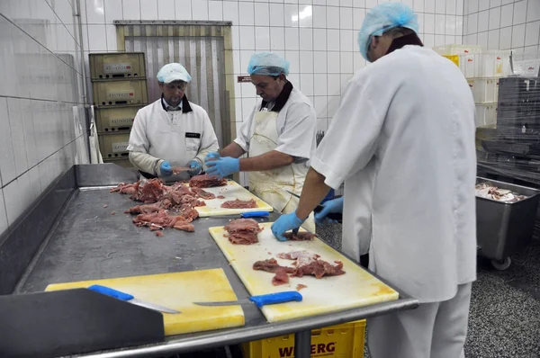 企业为肉产品生产 — 图库照片