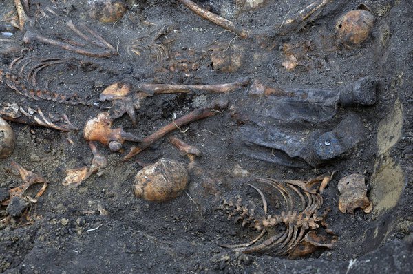 Excavations on the site of the shooting of 52 Ukrainian patriots