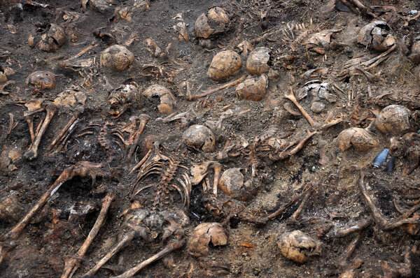 Excavations on the site of the shooting of 52 Ukrainian patriots