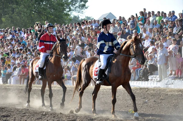 Show performances of horses on the racetrack — Stock Photo, Image