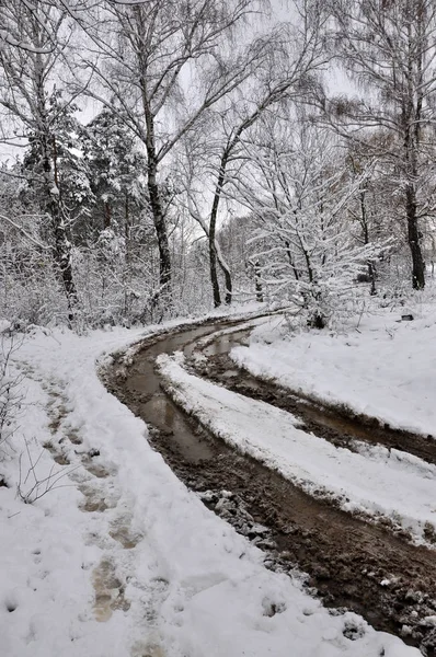 Paysage hivernal avec la route — Photo
