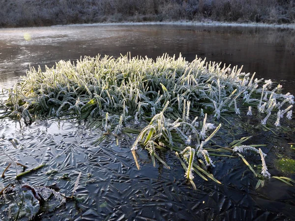 Зимний пейзаж с первыми морозами на озере — стоковое фото