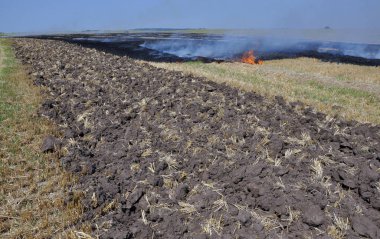 Traktör yangın alanından bir şerit ile pulluk