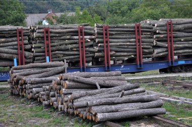 Arabalar bir ağacın deste ile yükleme