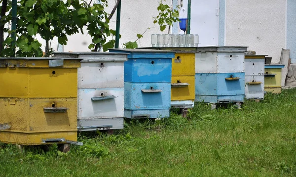 Ιδιωτικό μελισσοκομείο κοντά το manor — Φωτογραφία Αρχείου