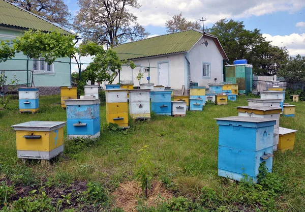 Частная пасека рядом с усадьбой — стоковое фото