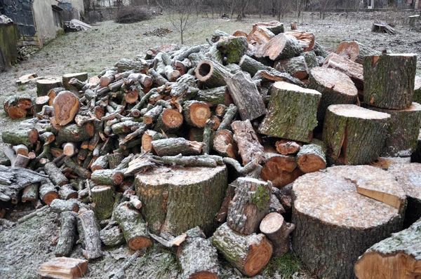 Brennholz mit großem Durchmesser — Stockfoto