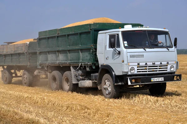 Транспортування зерна з поля — стокове фото