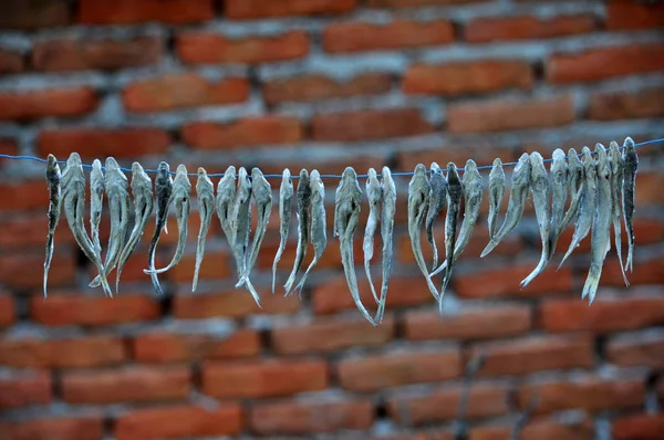 ロープで乾燥する川の魚 — ストック写真