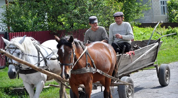 Sebuah perjalanan di jalan membawa beberapa kuda dan orang — Stok Foto