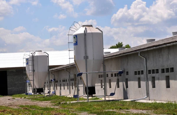 Azienda agricola per la coltivazione di suini — Foto Stock