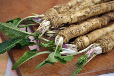 Mutfak tahtası tedavi edilmezse horseradish