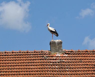 Eski çini ve leylek baca üzerinde çatı