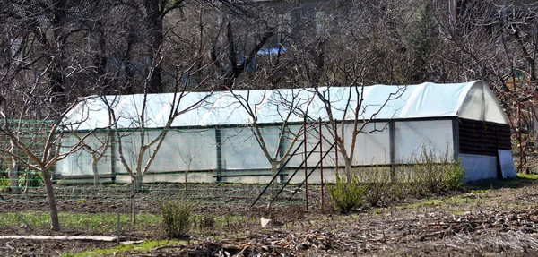 Appearance of the film greenhouse