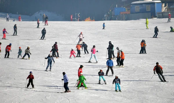 Turistas esquiando em Bukovel — Fotografia de Stock