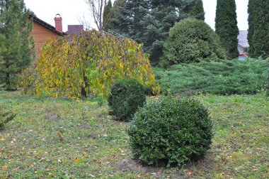 Bahçe, park, meydan, rekreasyon ar peyzaj tasarımı