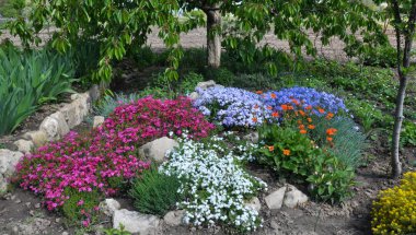 Bahçe, park, meydan, rekreasyon ar peyzaj tasarımı