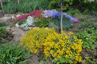 Bahçe, park, meydan, rekreasyon ar peyzaj tasarımı