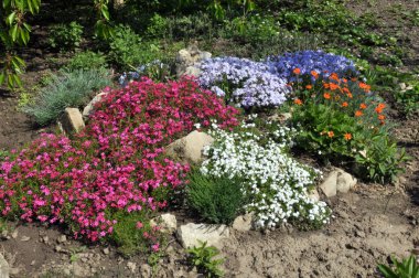 Bahçe, park, meydan, rekreasyon ar peyzaj tasarımı