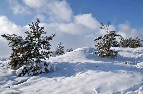 Paysage hivernal avec neige et arbres — Photo