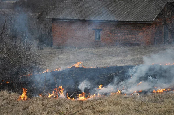 In spring, a dry grass is burned — Stock Photo, Image
