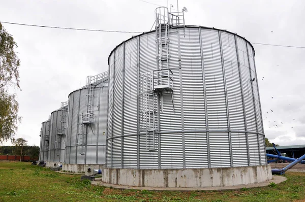 Silos per il magazzinaggio dei cereali . — Foto Stock