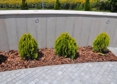 Bahçe, park, meydan, rekreasyon ar peyzaj tasarımı