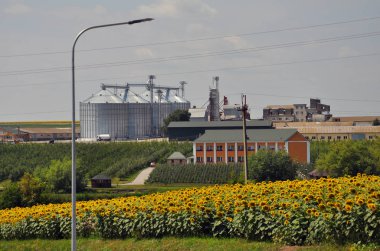 Tarım endüstrisi manzarası