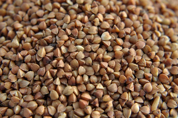 Fondo de trigo sarraceno seco . — Foto de Stock