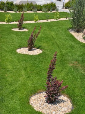 Bahçedeki peyzaj, park, meydan, dinlenme alanındaki modern tasarım parçaları.